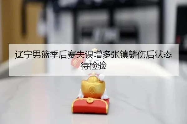 辽宁男篮季后赛失误增多张镇麟伤后状态待检验 | aoa.conapp