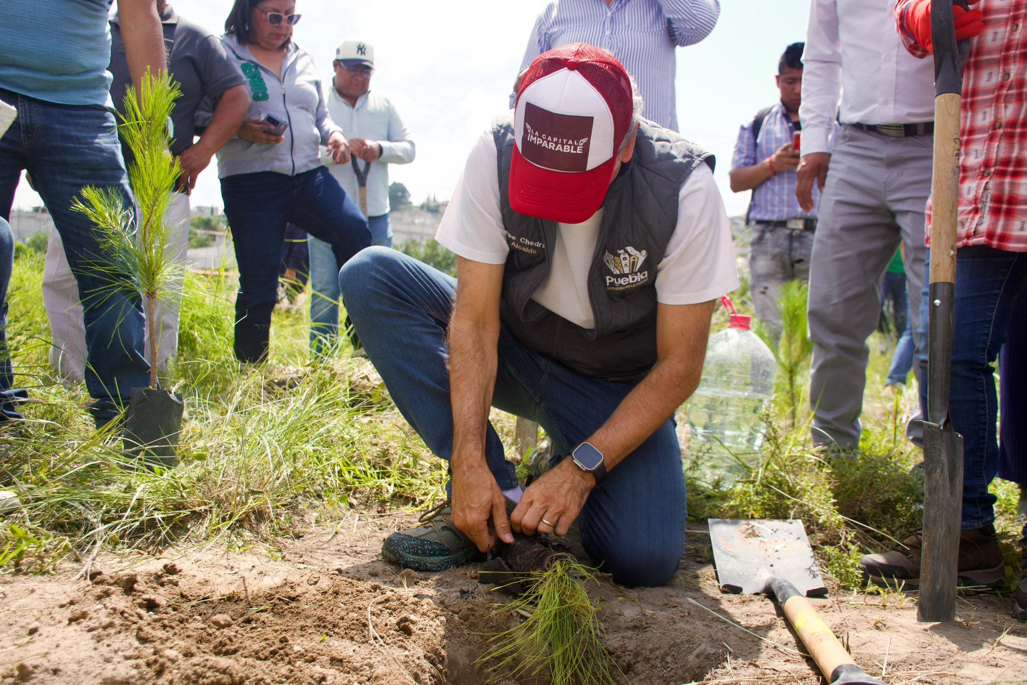 Pepe Chedraui plantando