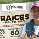 Pepe Chedraui refuerza Raíces del Futuro
