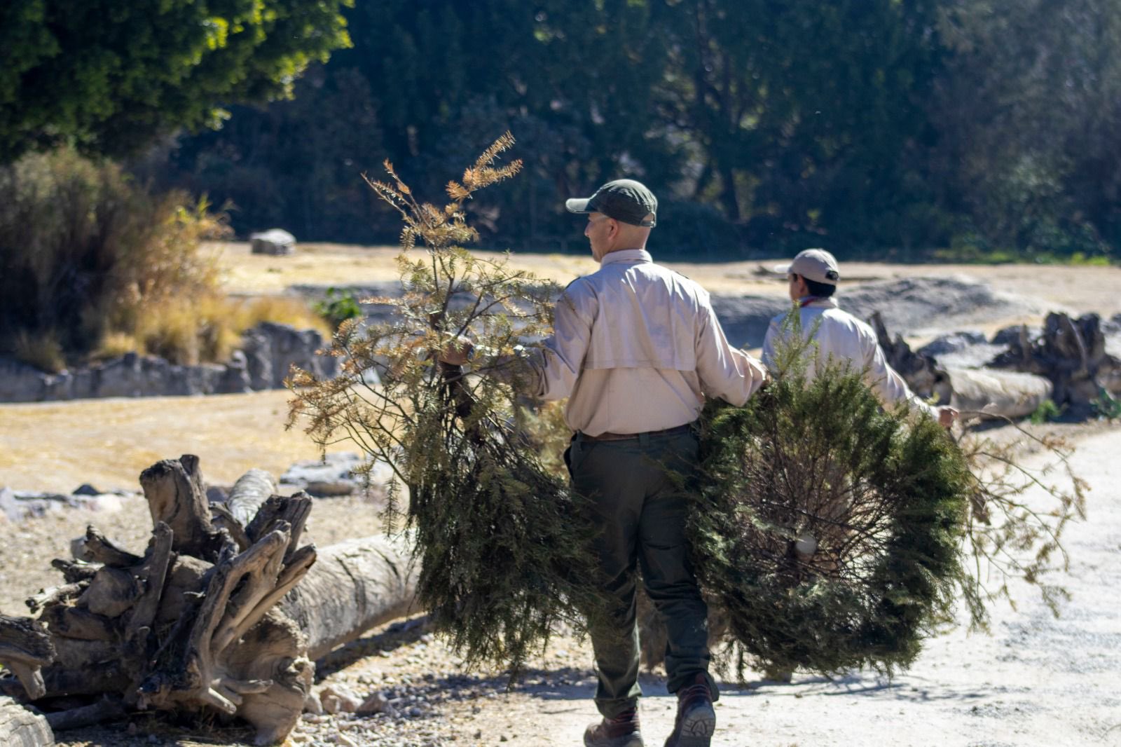 Africam Safari campaña