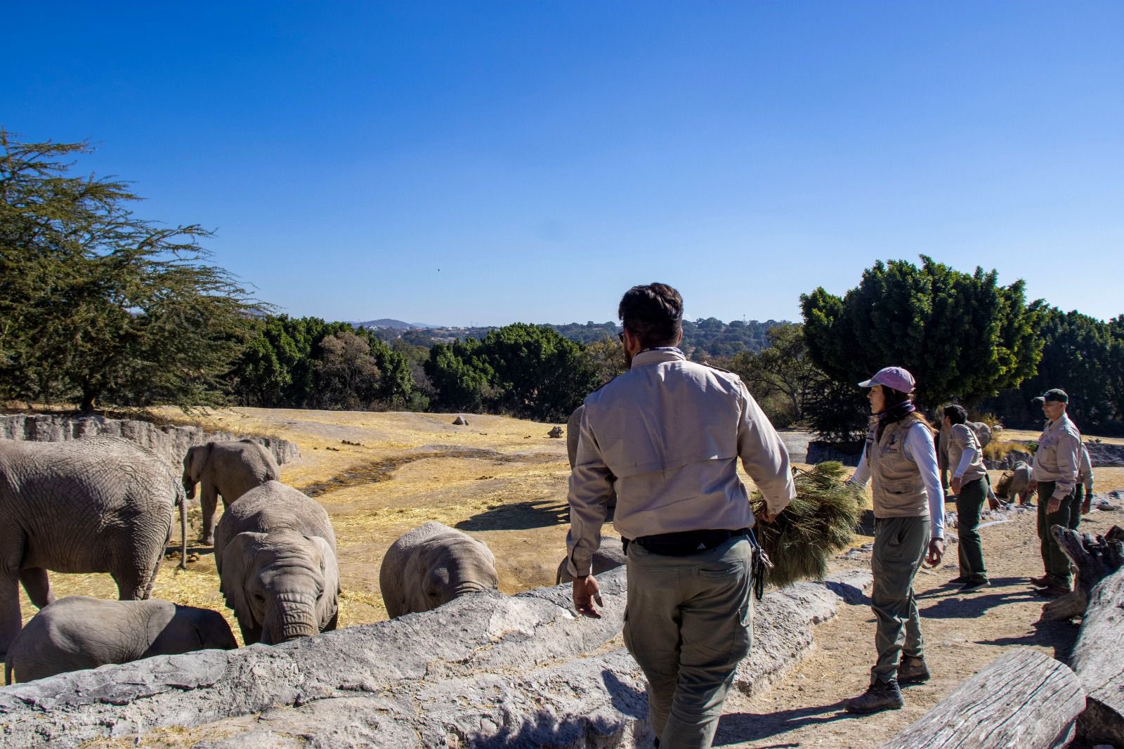 Campaña de Pepe Chedraui