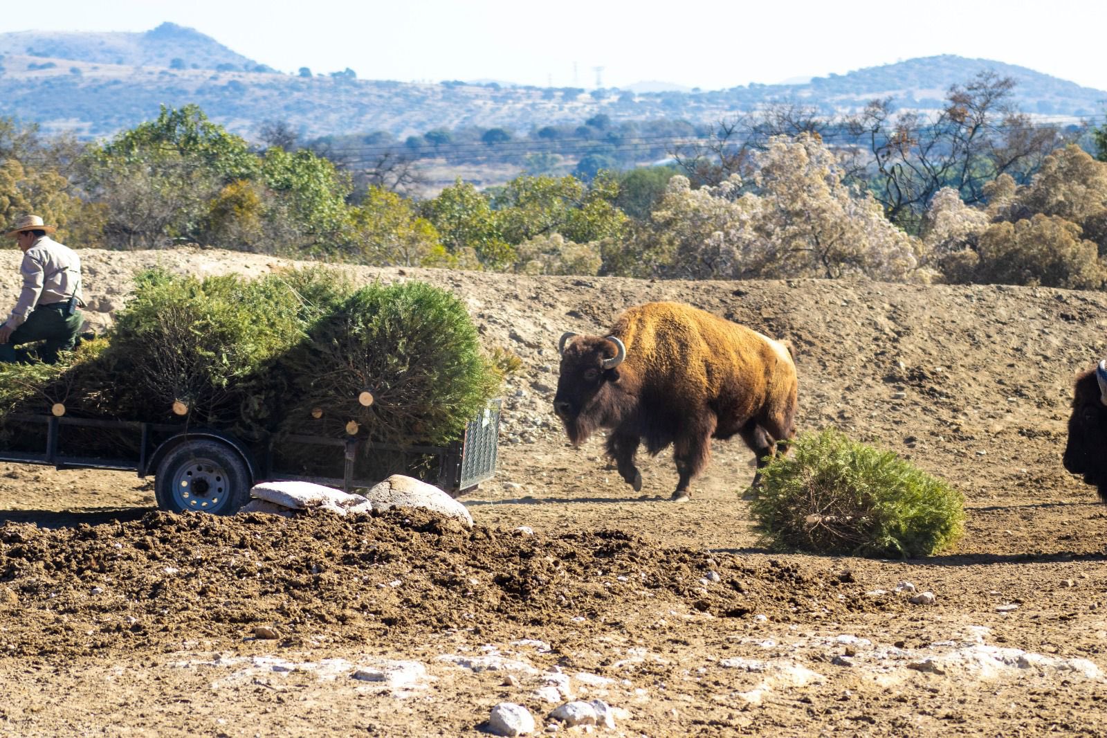 Campaña de reciclaje