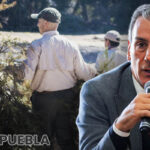 Pepe Chedraui y Africam Safari lanzan campaña para reciclar árboles de Navidad